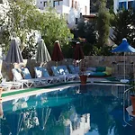Lemon Tree 3*