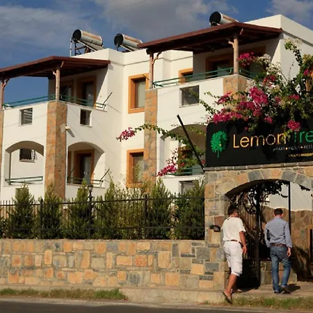Lemon Tree