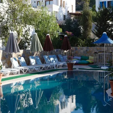 Lemon Tree 3*