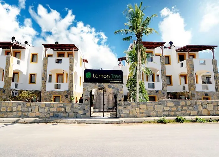 公寓式酒店 Lemon Tree