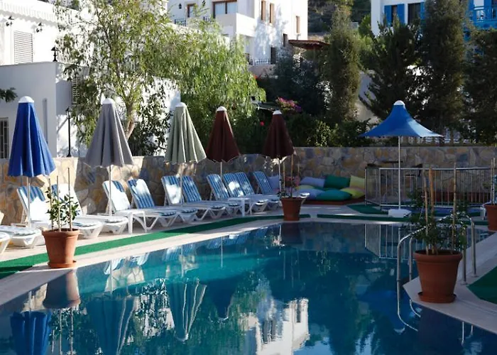 Lemon Tree 3*