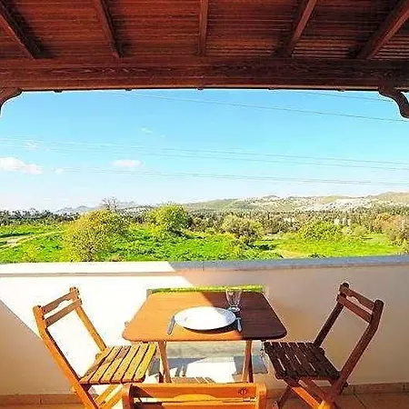 Lemon Tree بيتيس