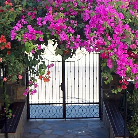 Aparthotel Lemon Tree