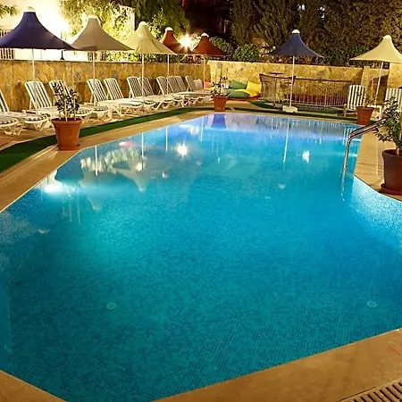 Lemon Tree بيتيس