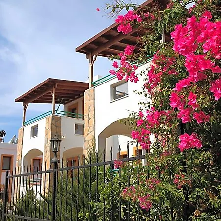 Lemon Tree 3* بيتيس