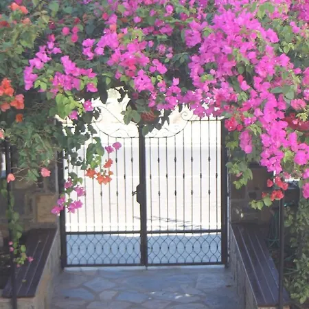 מלון דירות Lemon Tree ביטז