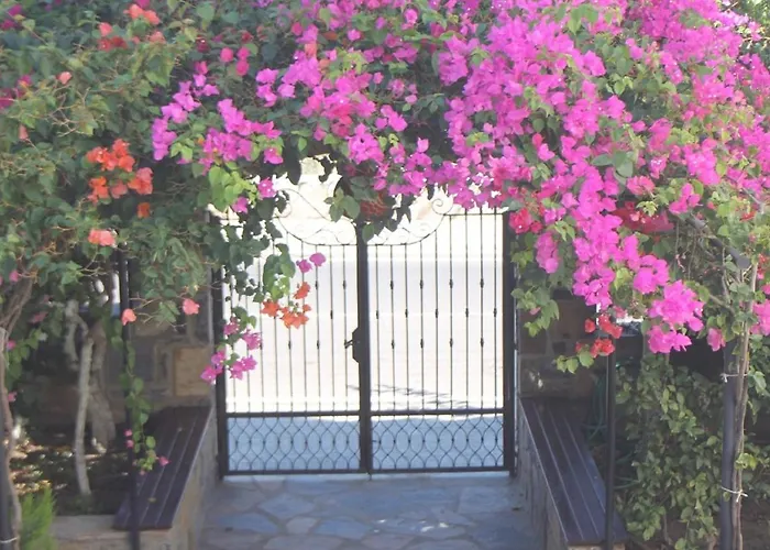 Lägenhetshotell Lemon Tree Bitez